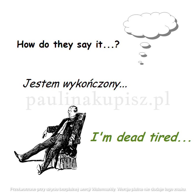 Zdjęcie 11